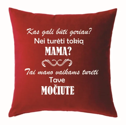 Pagalvėlė kas gali būti geriau nei turėti mano vaikams tokią močiutę