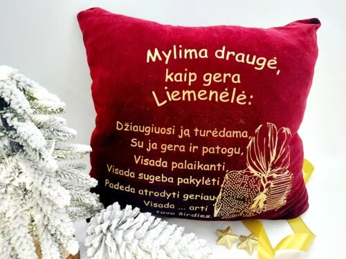 Pagalvėlė DRAUGEI Nr.2